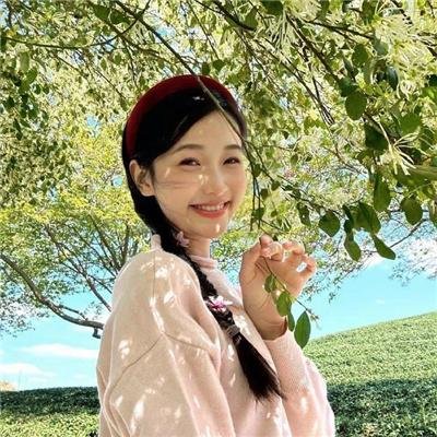印花龙